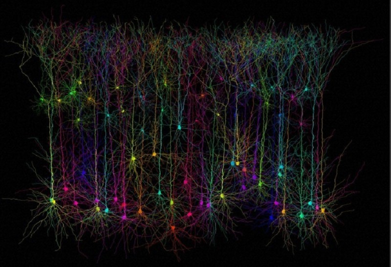 raining neurons