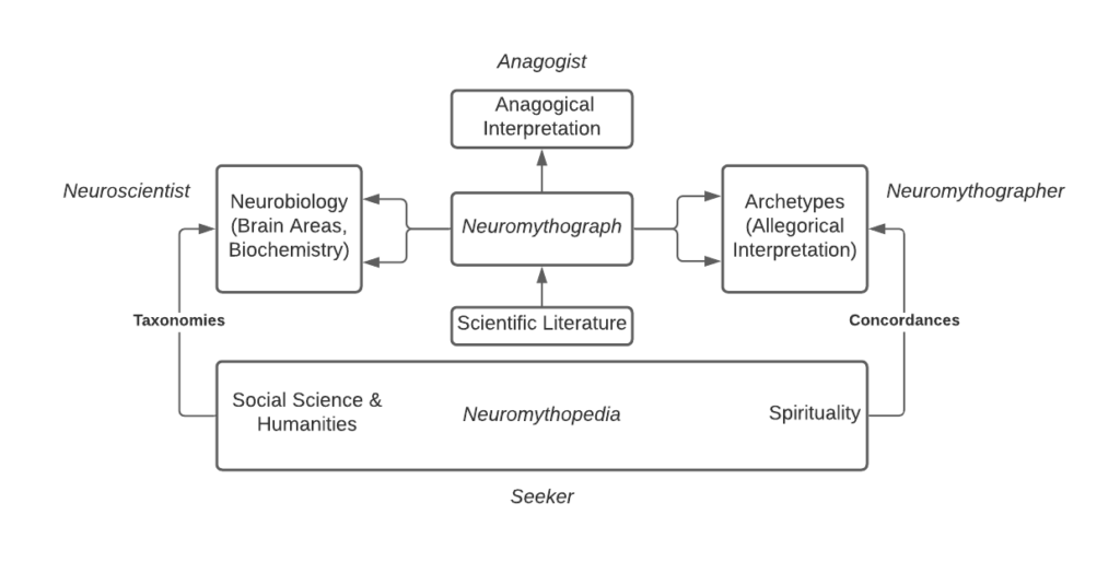 neuromythography information model